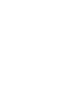 Zyberswap logo